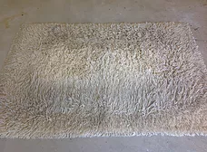 Area Rug