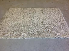 Area Rug